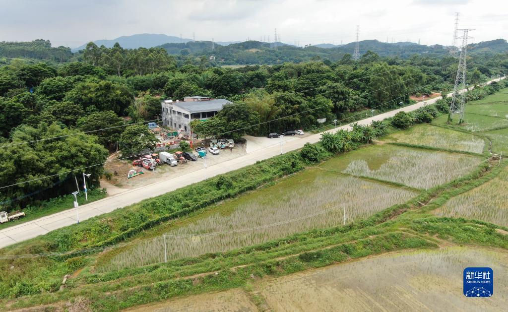 新2网址288880 - 首页